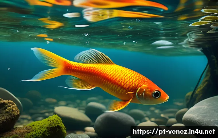 베네수엘라에서 볼 수 있는 희귀 동물 관련 이미지 1